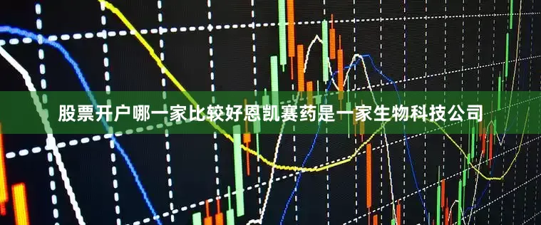 股票开户哪一家比较好恩凯赛药是一家生物科技公司