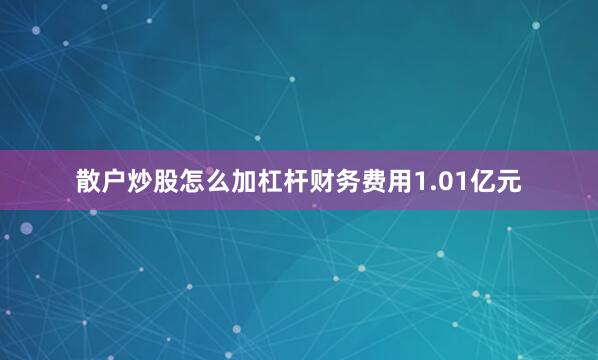 散户炒股怎么加杠杆财务费用1.01亿元