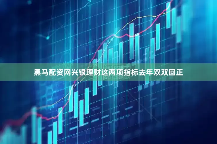 黑马配资网兴银理财这两项指标去年双双回正