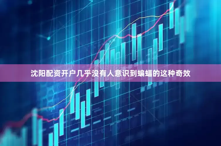 沈阳配资开户几乎没有人意识到蝙蝠的这种奇效