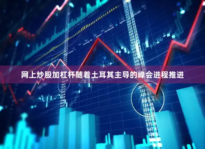 网上炒股加杠杆随着土耳其主导的峰会进程推进