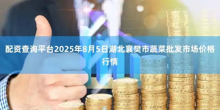配资查询平台2025年8月5日湖北襄樊市蔬菜批发市场价格行情