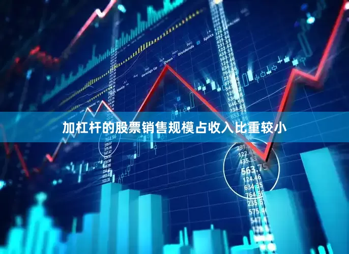 加杠杆的股票销售规模占收入比重较小