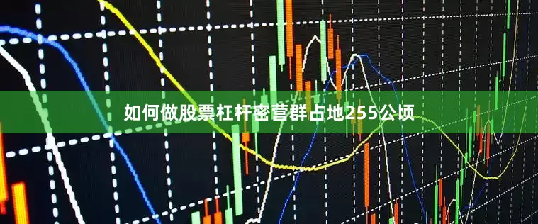 如何做股票杠杆密营群占地255公顷